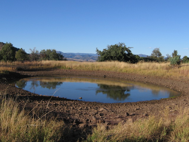 wing tank along pigeon creek trail.JPG